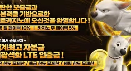 굿모닝카지노